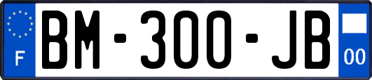 BM-300-JB