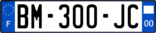 BM-300-JC