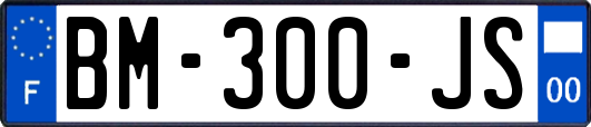 BM-300-JS