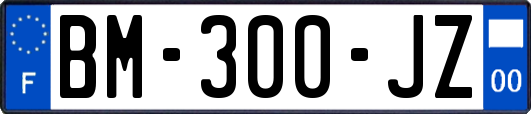 BM-300-JZ