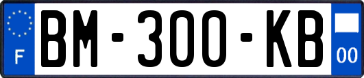 BM-300-KB
