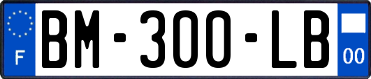 BM-300-LB