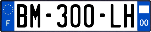 BM-300-LH