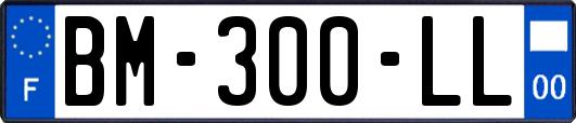 BM-300-LL
