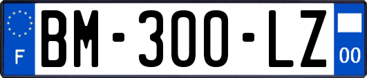 BM-300-LZ