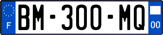 BM-300-MQ