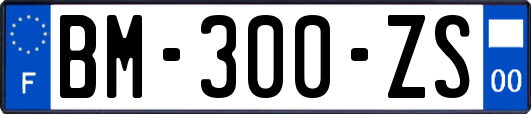 BM-300-ZS