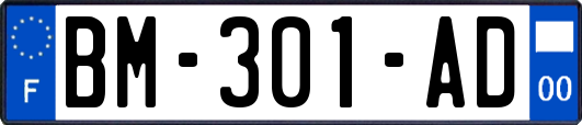 BM-301-AD