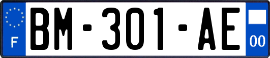 BM-301-AE