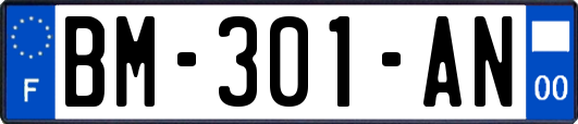 BM-301-AN