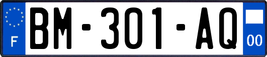 BM-301-AQ