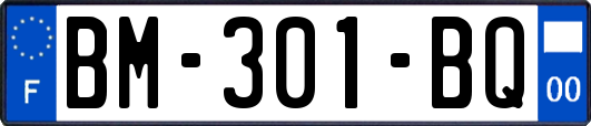 BM-301-BQ