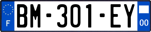 BM-301-EY