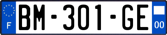 BM-301-GE