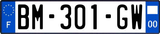 BM-301-GW