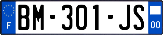BM-301-JS