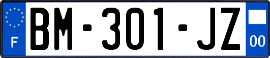 BM-301-JZ