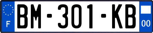 BM-301-KB