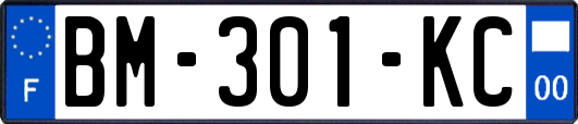 BM-301-KC