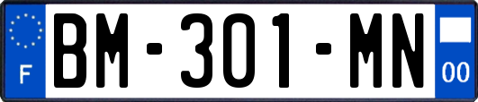 BM-301-MN