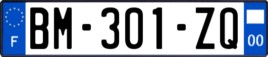 BM-301-ZQ