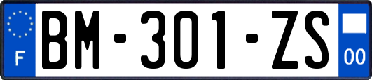 BM-301-ZS