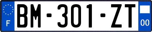 BM-301-ZT