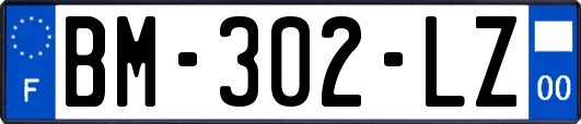 BM-302-LZ