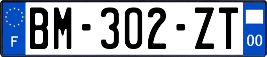 BM-302-ZT