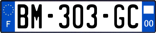BM-303-GC