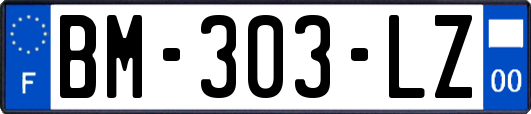 BM-303-LZ