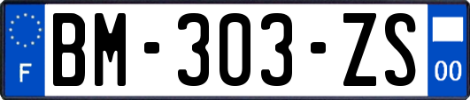 BM-303-ZS