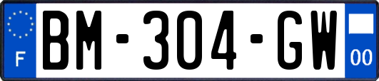 BM-304-GW