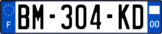 BM-304-KD