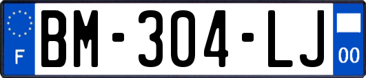 BM-304-LJ