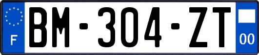 BM-304-ZT