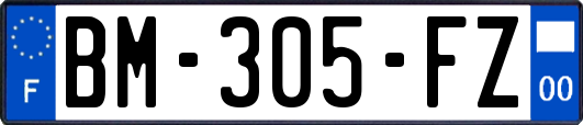 BM-305-FZ