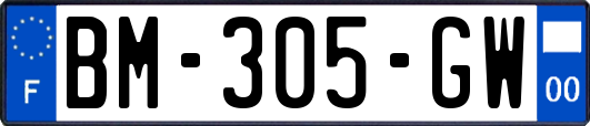 BM-305-GW