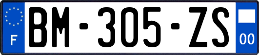 BM-305-ZS