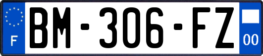 BM-306-FZ