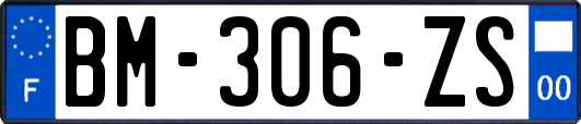 BM-306-ZS