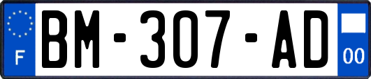 BM-307-AD