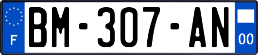 BM-307-AN