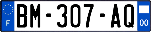 BM-307-AQ