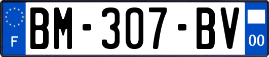 BM-307-BV