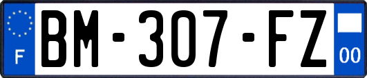 BM-307-FZ