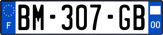 BM-307-GB