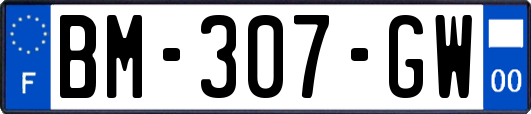 BM-307-GW