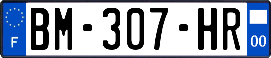 BM-307-HR