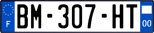 BM-307-HT